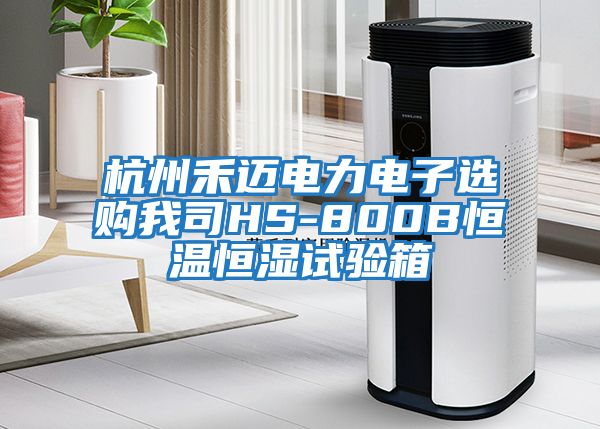 杭州禾邁電力電子選購我司HS-800B恒溫恒濕試驗箱