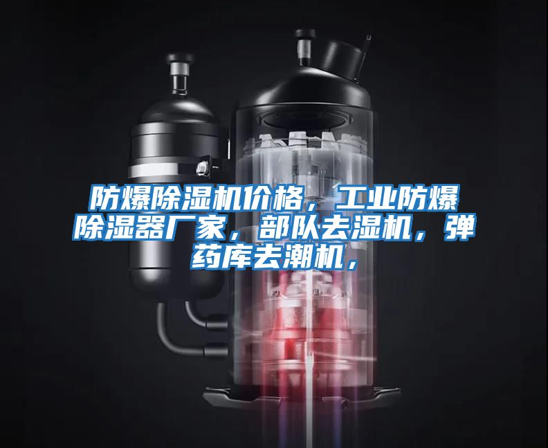 防爆除濕機(jī)價格，工業(yè)防爆除濕器廠家，部隊去濕機(jī)，彈藥庫去潮機(jī)，