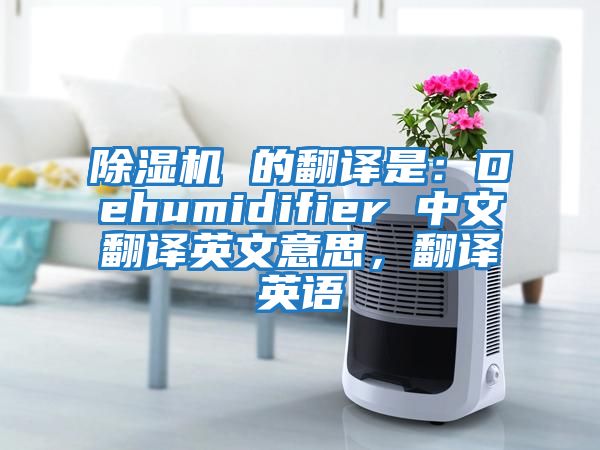 除濕機(jī) 的翻譯是：Dehumidifier 中文翻譯英文意思，翻譯英語(yǔ)