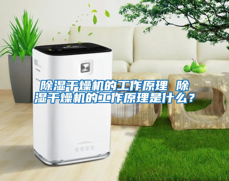 除濕干燥機的工作原理 除濕干燥機的工作原理是什么？