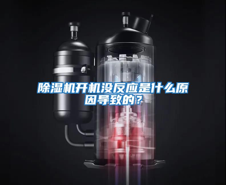 除濕機開機沒反應是什么原因?qū)е碌模?></div>
								<div   id=