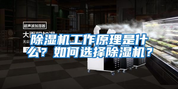 除濕機工作原理是什么？如何選擇除濕機？