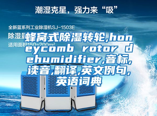 蜂窩式除濕轉(zhuǎn)輪,honeycomb rotor dehumidifier,音標(biāo),讀音,翻譯,英文例句,英語詞典