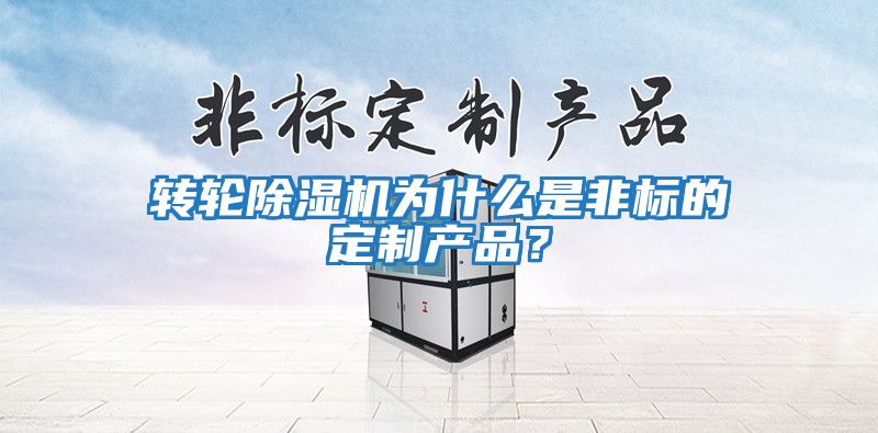 轉輪除濕機為什么是非標的定制產品？