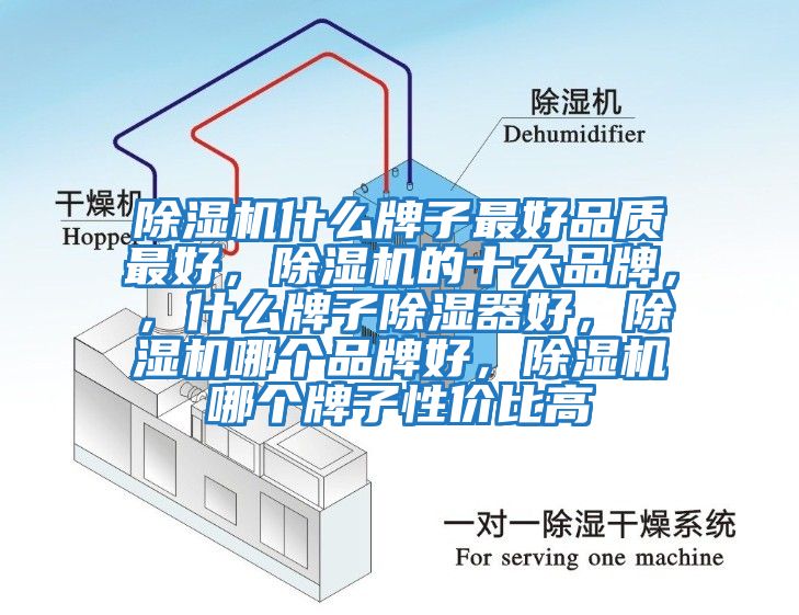 除濕機什么牌子最好品質最好，除濕機的十大品牌，，什么牌子除濕器好，除濕機哪個品牌好，除濕機哪個牌子性價比高