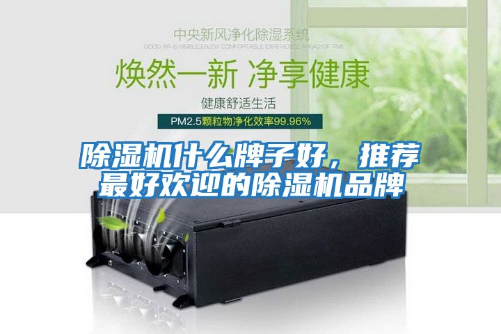 除濕機什么牌子好，推薦最好歡迎的除濕機品牌