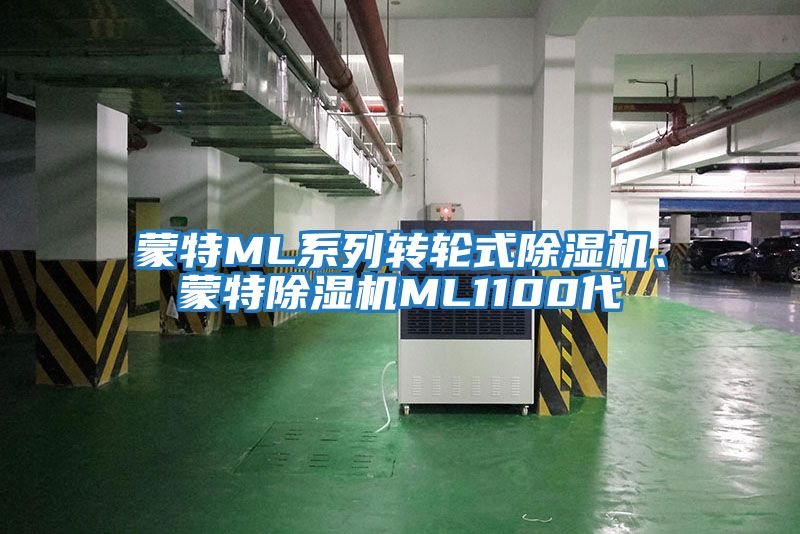 蒙特ML系列轉(zhuǎn)輪式除濕機、蒙特除濕機ML1100代