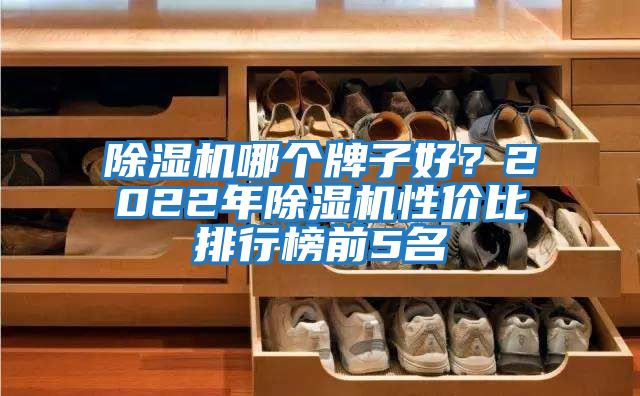 除濕機(jī)哪個(gè)牌子好？2022年除濕機(jī)性價(jià)比排行榜前5名