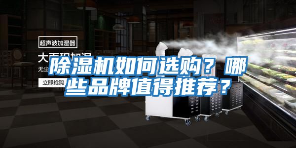 除濕機如何選購？哪些品牌值得推薦？