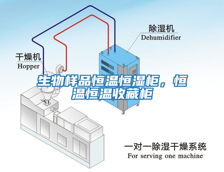 生物樣品恒溫恒濕柜，恒溫恒溫收藏柜