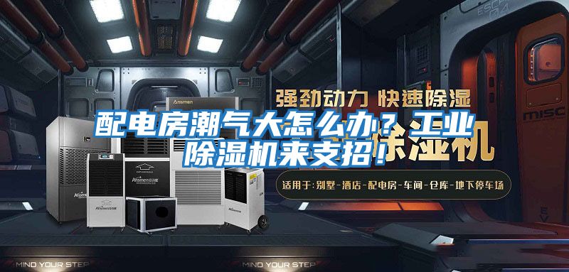 配電房潮氣大怎么辦？工業(yè)除濕機來支招！