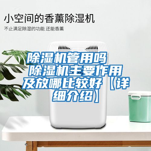 除濕機管用嗎  除濕機主要作用及放哪比較好【詳細介紹】