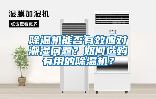 除濕機能否有效應對潮濕問題？如何選購有用的除濕機？