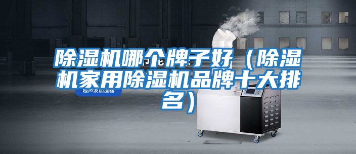 除濕機哪個牌子好（除濕機家用除濕機品牌十大排名）