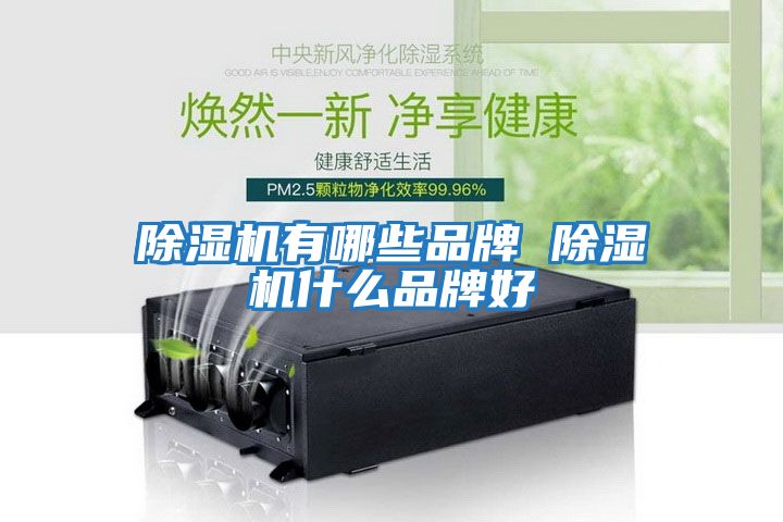 除濕機有哪些品牌 除濕機什么品牌好