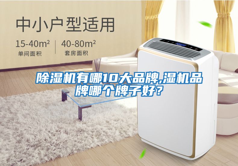 除濕機(jī)有哪10大品牌,濕機(jī)品牌哪個(gè)牌子好？