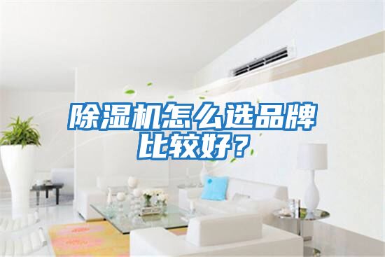 除濕機怎么選品牌比較好？