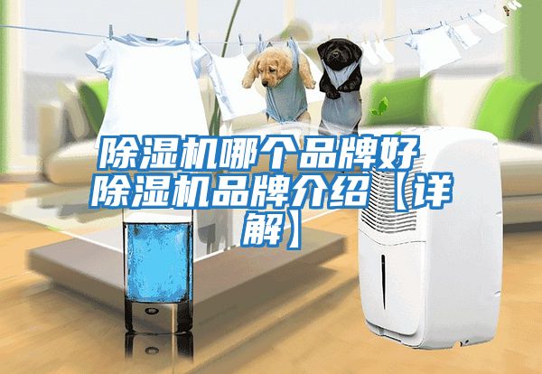 除濕機(jī)哪個品牌好 除濕機(jī)品牌介紹【詳解】