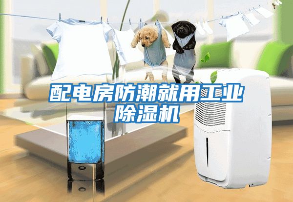 配電房防潮就用工業(yè)除濕機