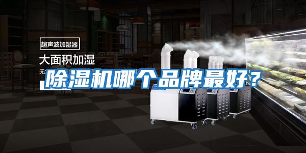 除濕機哪個品牌最好？