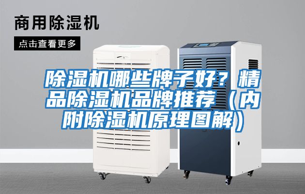 除濕機哪些牌子好？精品除濕機品牌推薦（內(nèi)附除濕機原理圖解）