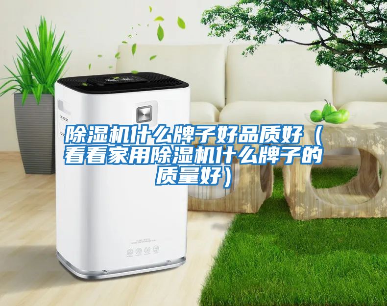 除濕機什么牌子好品質(zhì)好（看看家用除濕機什么牌子的質(zhì)量好）