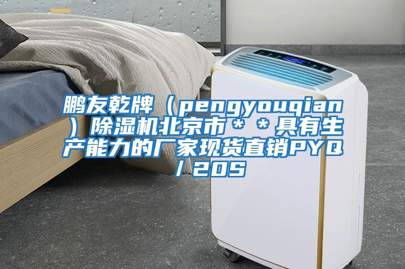 鵬友乾牌（pengyouqian）除濕機北京市＊＊具有生產(chǎn)能力的廠家現(xiàn)貨直銷PYQ／20S