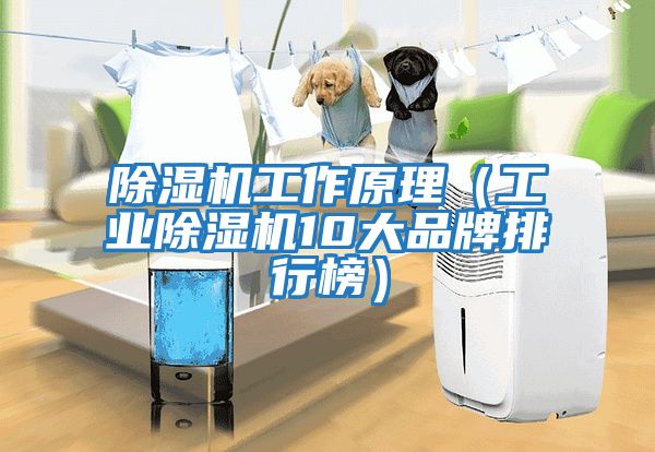 除濕機(jī)工作原理（工業(yè)除濕機(jī)10大品牌排行榜）