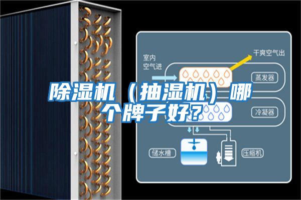 除濕機(jī)（抽濕機(jī)）哪個(gè)牌子好？