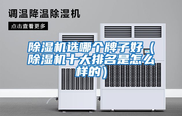 除濕機(jī)選哪個(gè)牌子好（除濕機(jī)十大排名是怎么樣的）