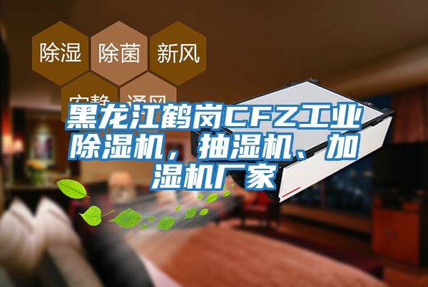 黑龍江鶴崗CFZ工業(yè)除濕機，抽濕機、加濕機廠家