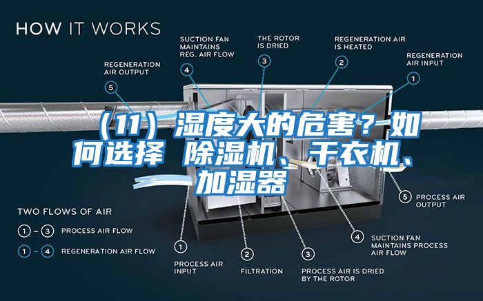 （11）濕度大的危害？如何選擇 除濕機(jī)、干衣機(jī)、加濕器