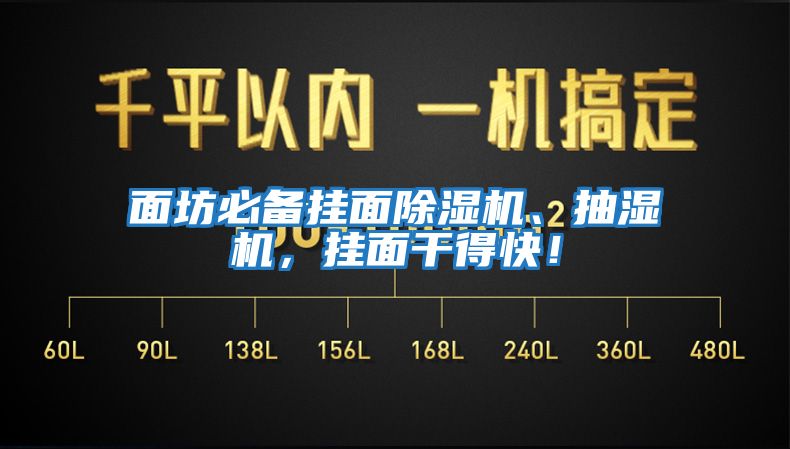 面坊必備掛面除濕機(jī)、抽濕機(jī)，掛面干得快！