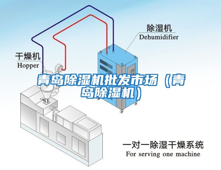 青島除濕機批發(fā)市場（青島除濕機）