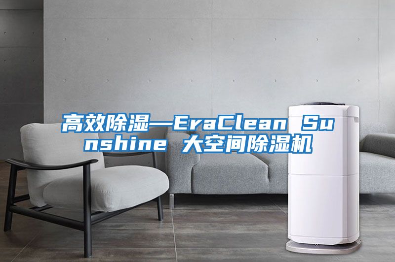 高效除濕—EraClean Sunshine 大空間除濕機(jī)