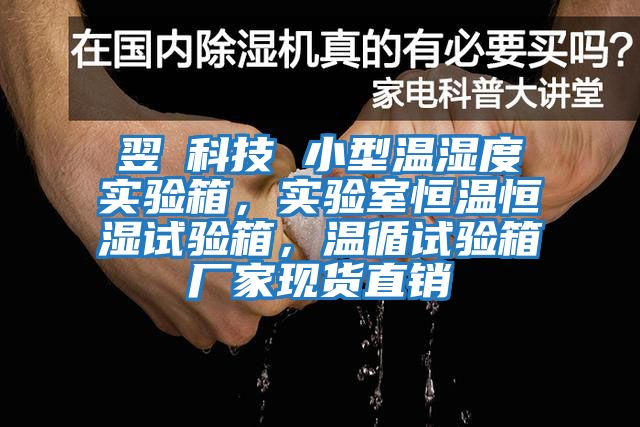 翌昇科技 小型溫濕度實驗箱，實驗室恒溫恒濕試驗箱，溫循試驗箱廠家現(xiàn)貨直銷