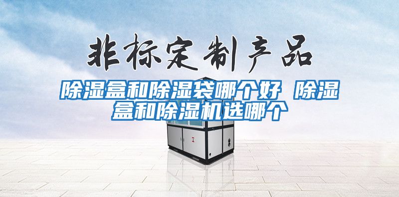 除濕盒和除濕袋哪個(gè)好 除濕盒和除濕機(jī)選哪個(gè)