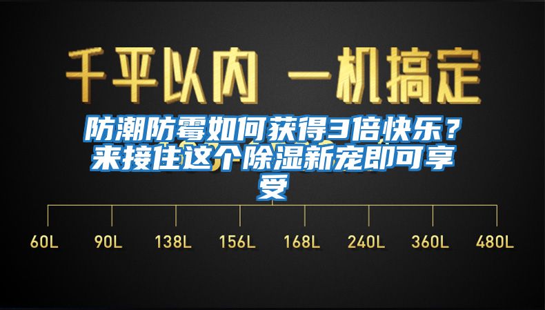 防潮防霉如何獲得3倍快樂？來接住這個除濕新寵即可享受